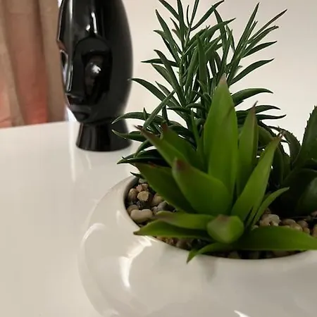 Apartmán Luxury Dreamview *