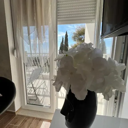 Luxury Dreamview * Split