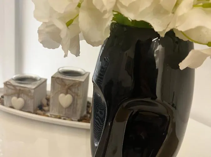 Luxury Dreamview Split