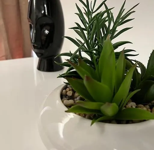 Lägenhet Luxury Dreamview *