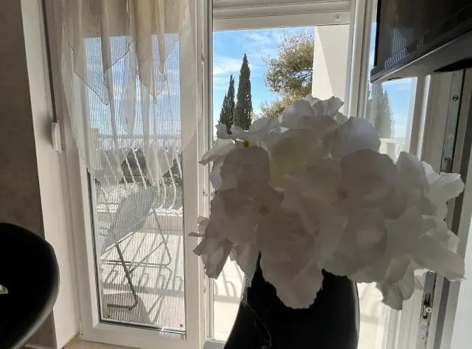 Luxury Dreamview * Split